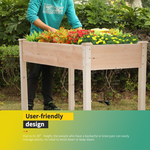 Arlmont & Co. Murrells Wood Elevated Planter Wayfair